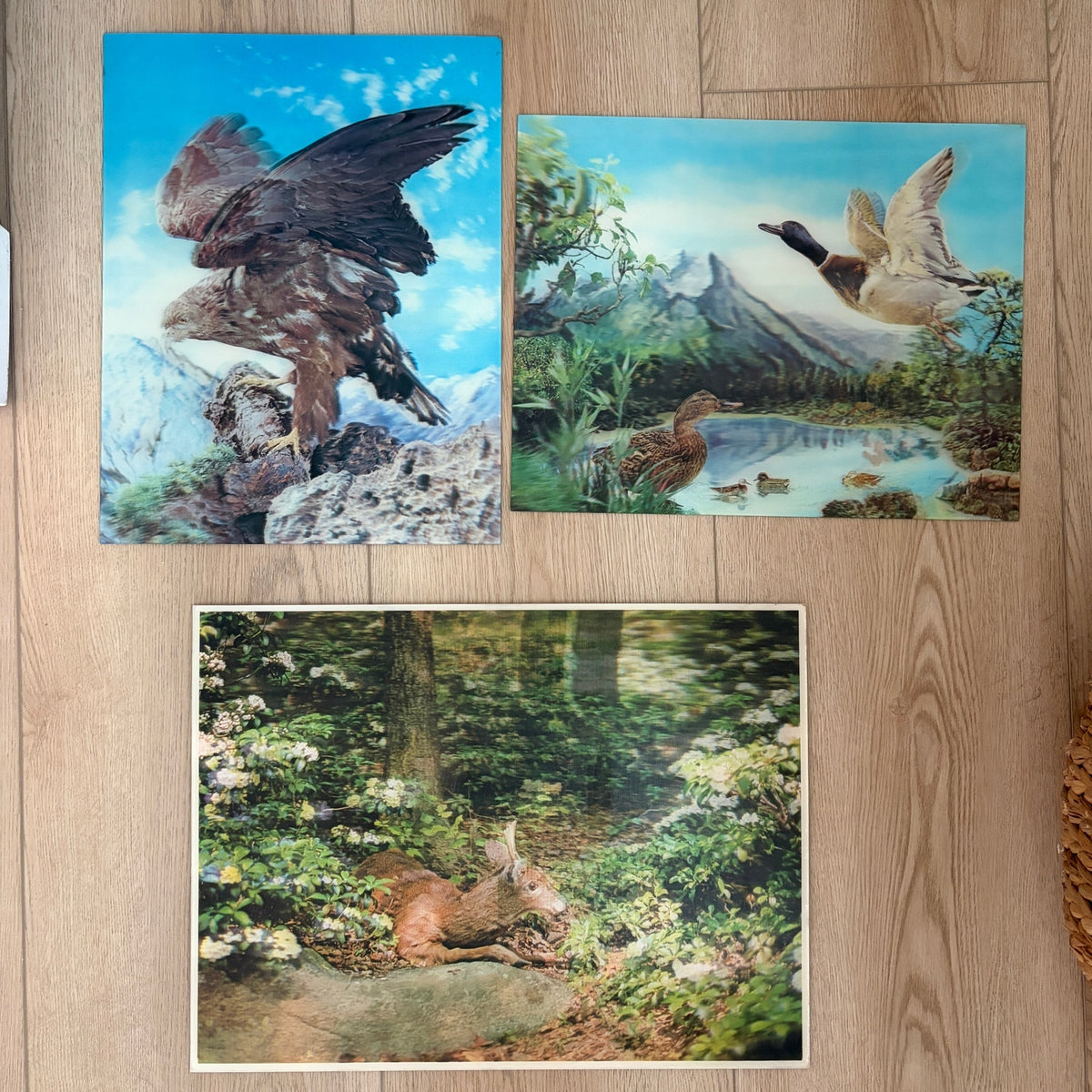 LOT 3 Vintage Lenticular 3-D Pictures Eagle, Deer, Geese