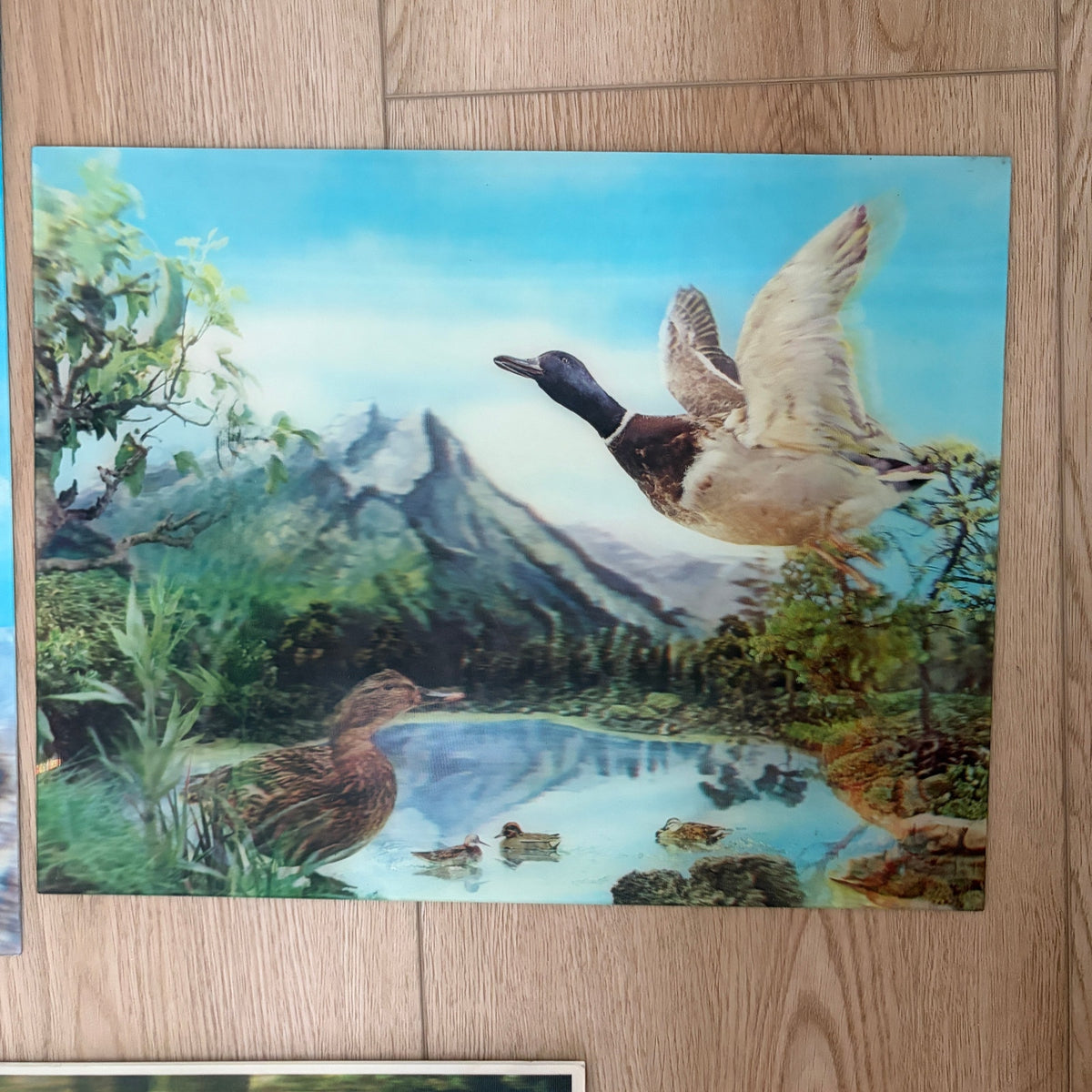 LOT 3 Vintage Lenticular 3-D Pictures Eagle, Deer, Geese