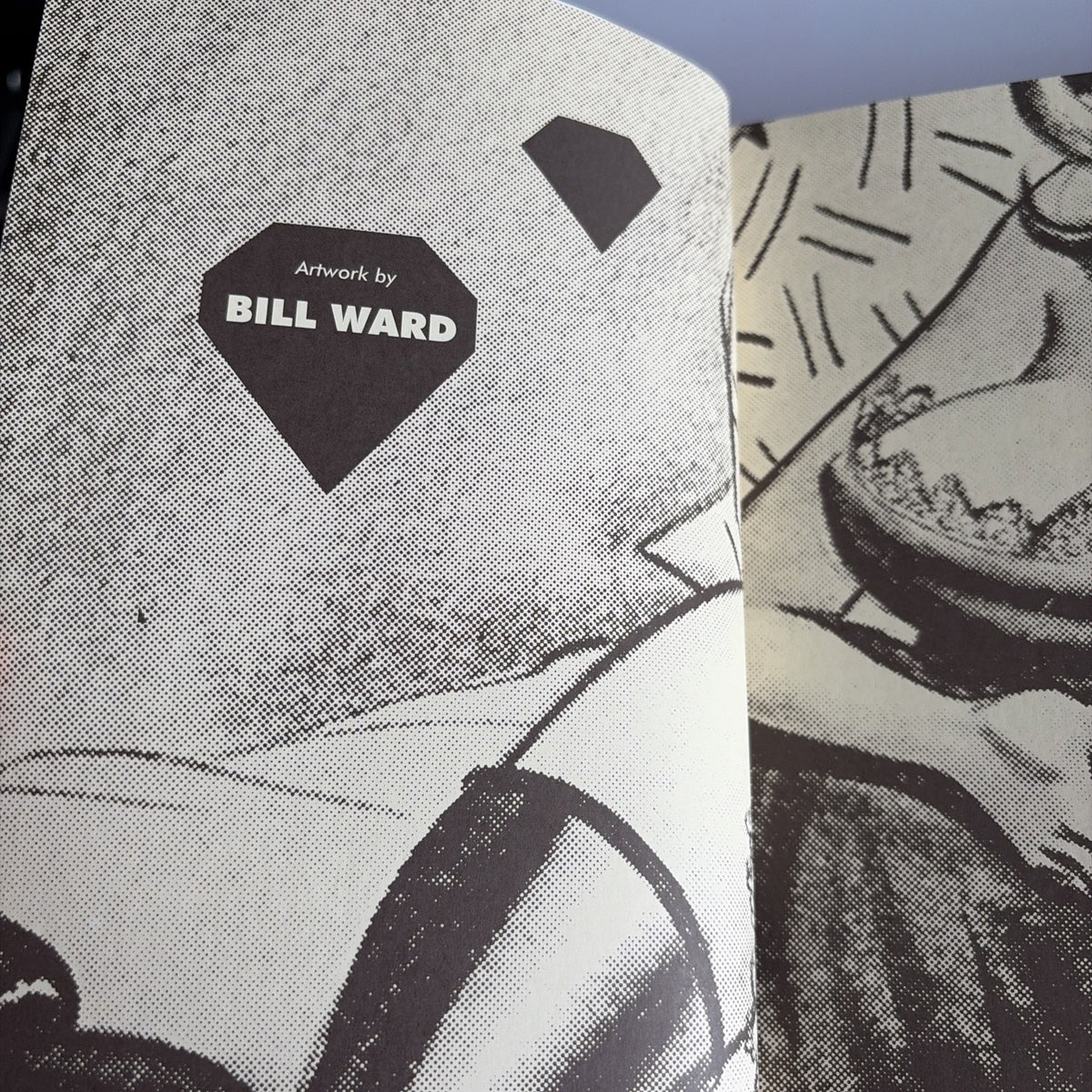 The Pin-Up Art of Bill Ward by Alex Chun and Bill Ward 1st Print Fantagraphics