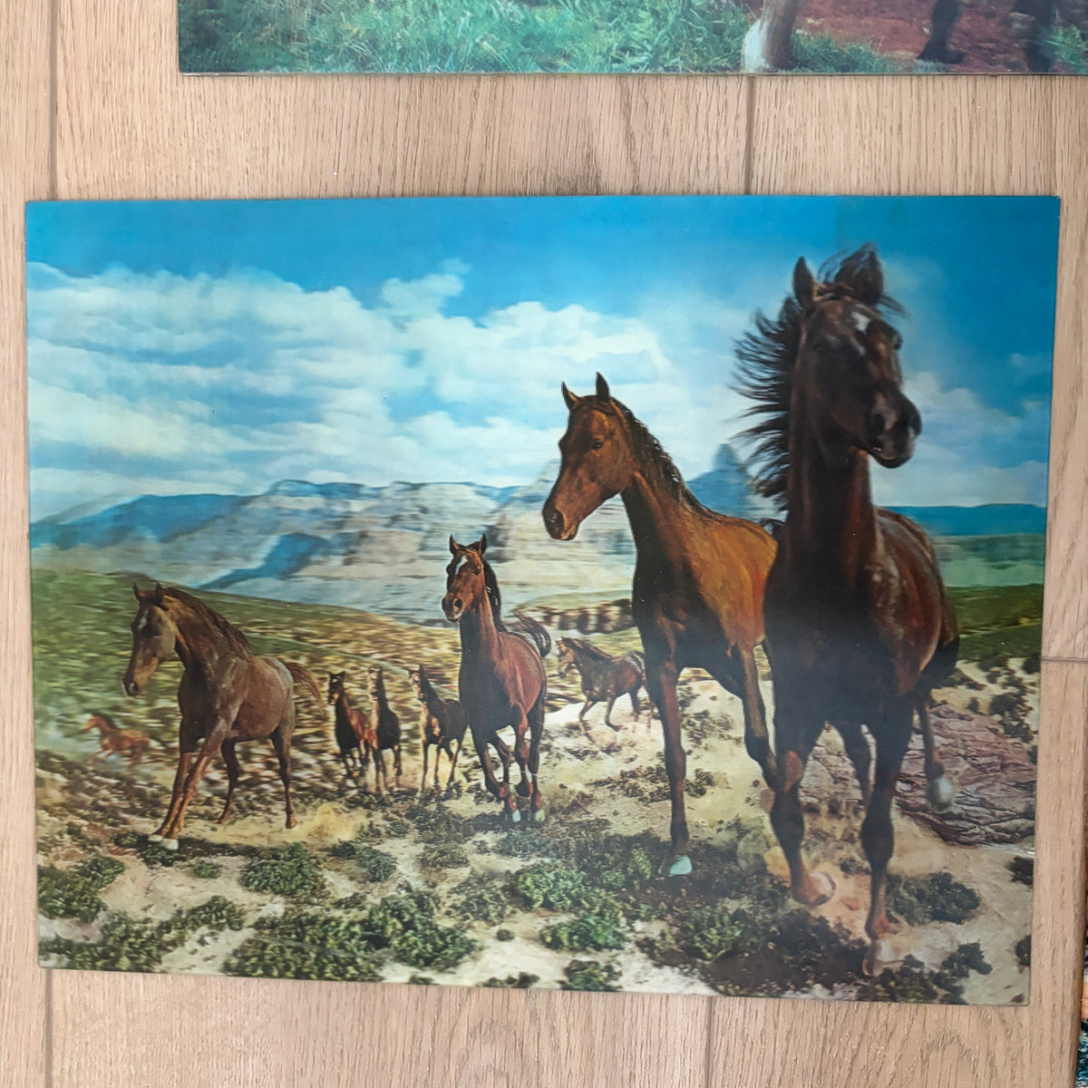 LOT 3 Vintage Lenticular Horse Pictures 13.25" x 10.5"