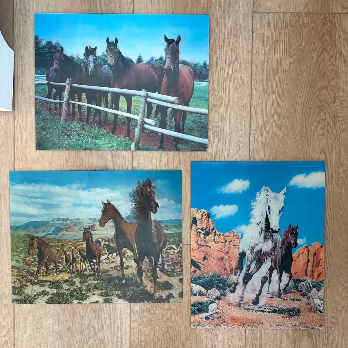 LOT 3 Vintage Lenticular Horse Pictures 13.25" x 10.5"