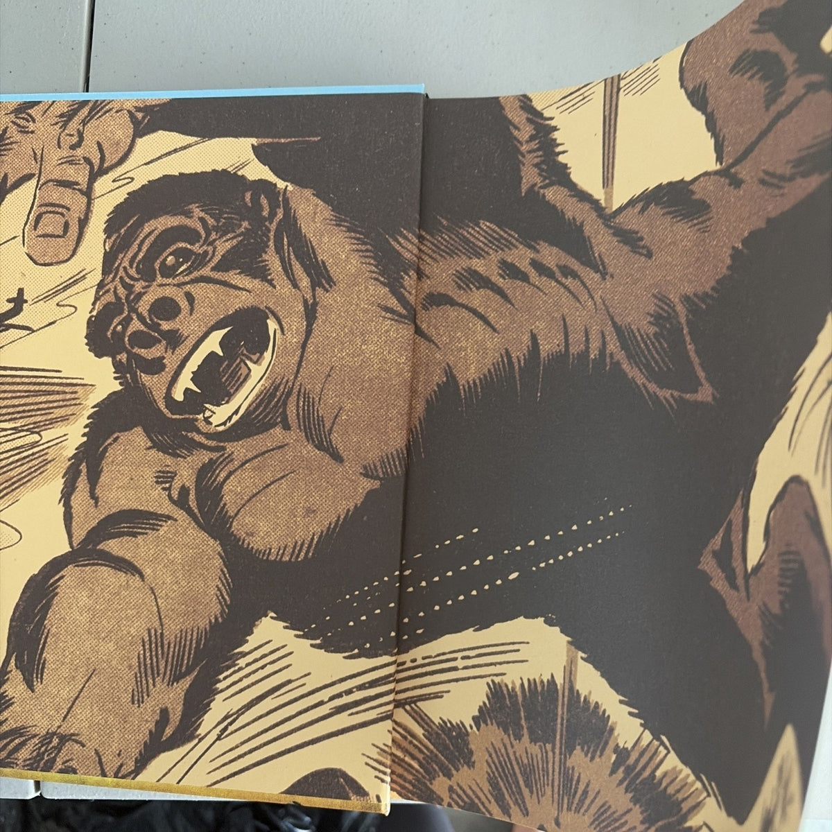 DITKO MONSTERS KONGA Hardcover Craig Yoe IDW 2013