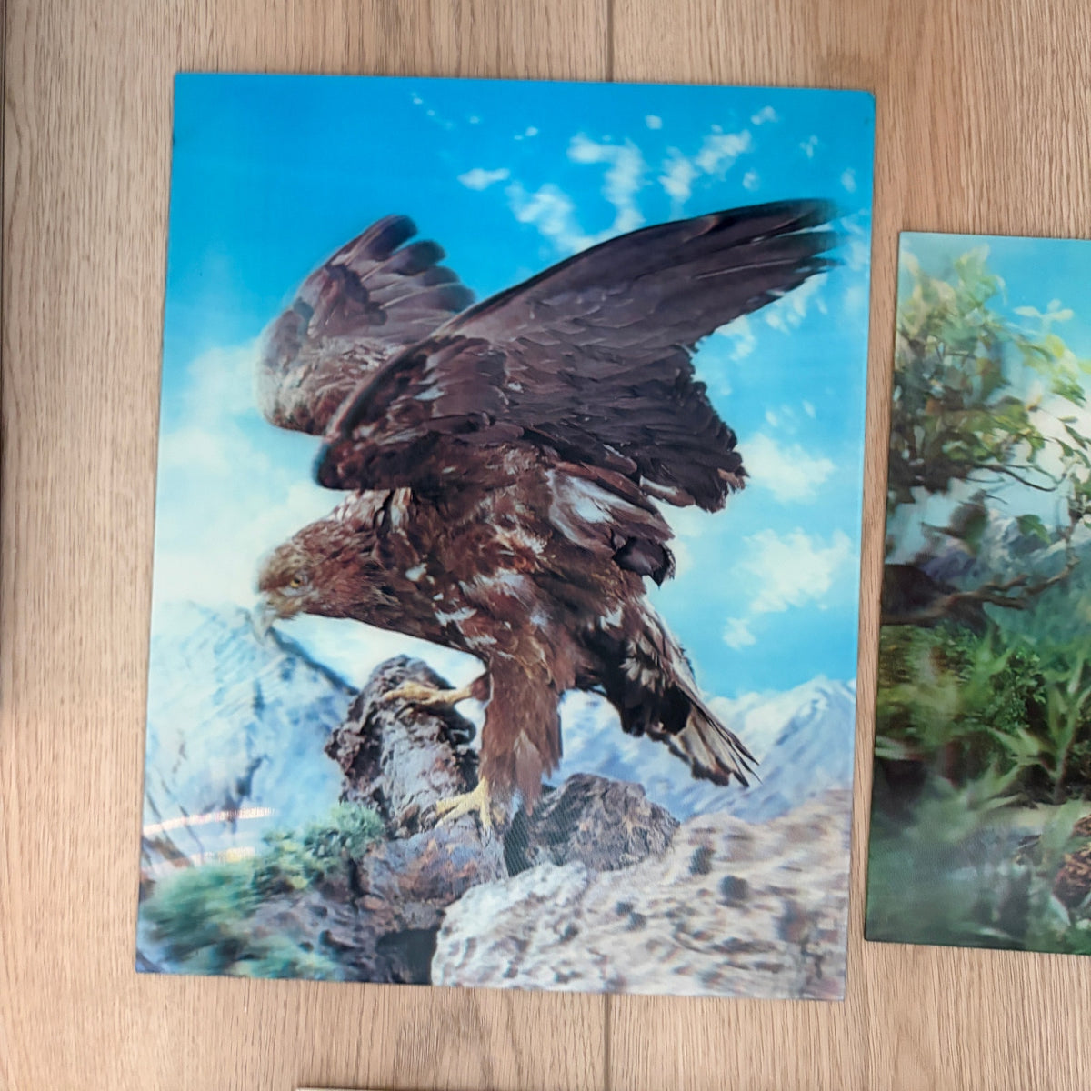 LOT 3 Vintage Lenticular 3-D Pictures Eagle, Deer, Geese