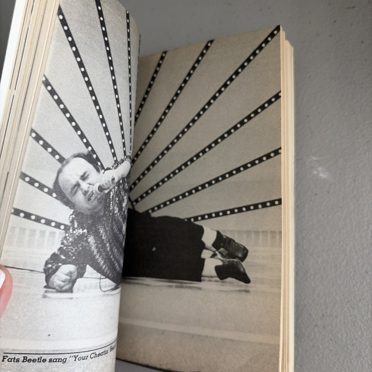 The Gong Show book by Jerry Bowles, Intro by Chuck Barris, 100 photos!