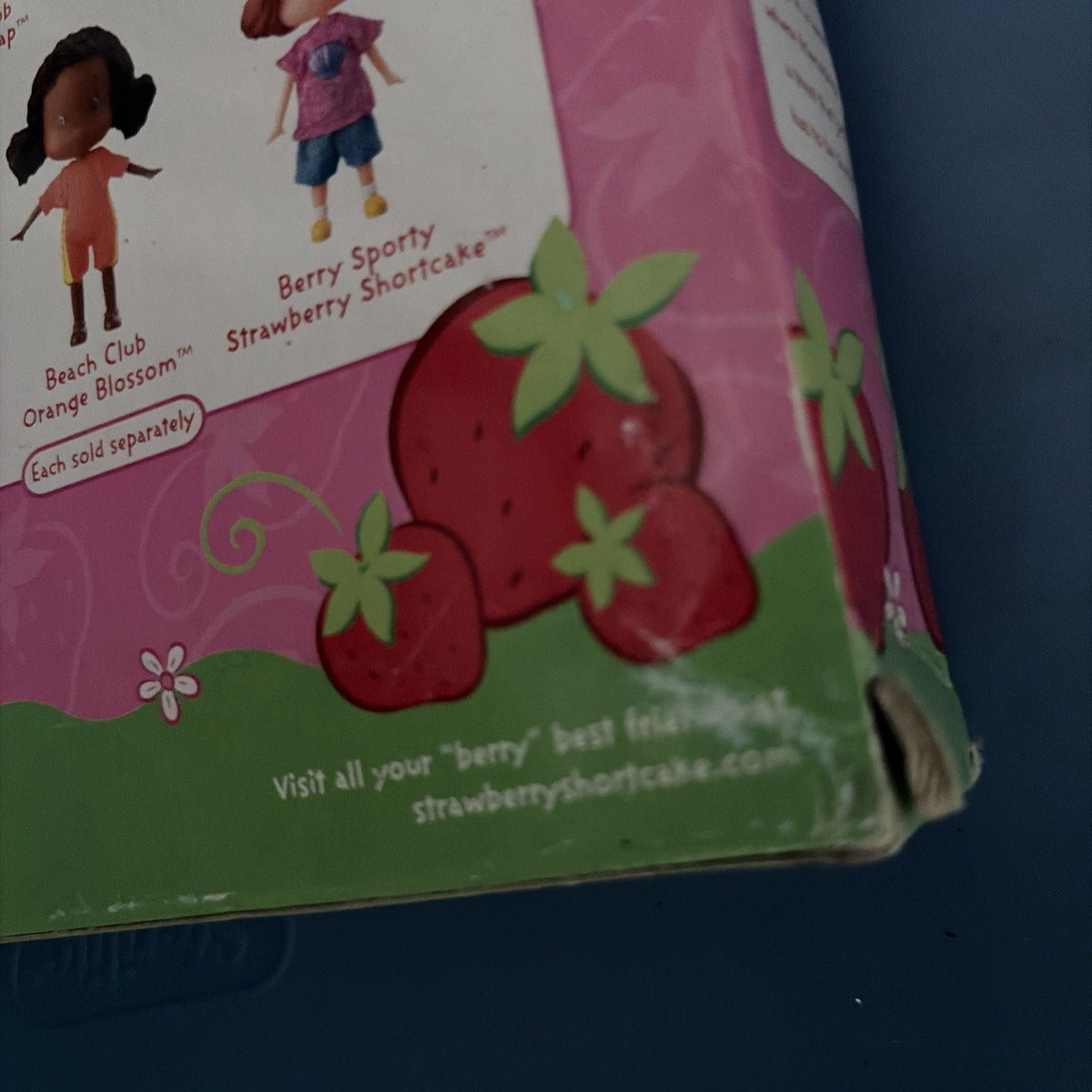 BERRY CUTE GIRLS STRAWBERRY SHORTCAKE BERRY DAYS WITH SEA SHELL CASE NEW