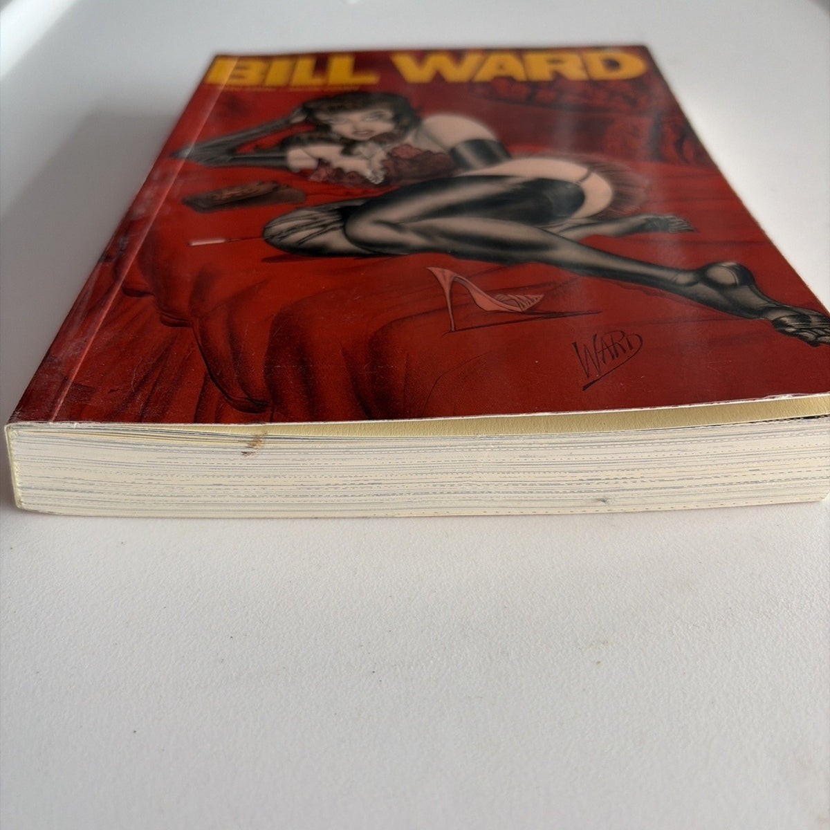 The Pin-Up Art of Bill Ward by Alex Chun and Bill Ward 1st Print Fantagraphics
