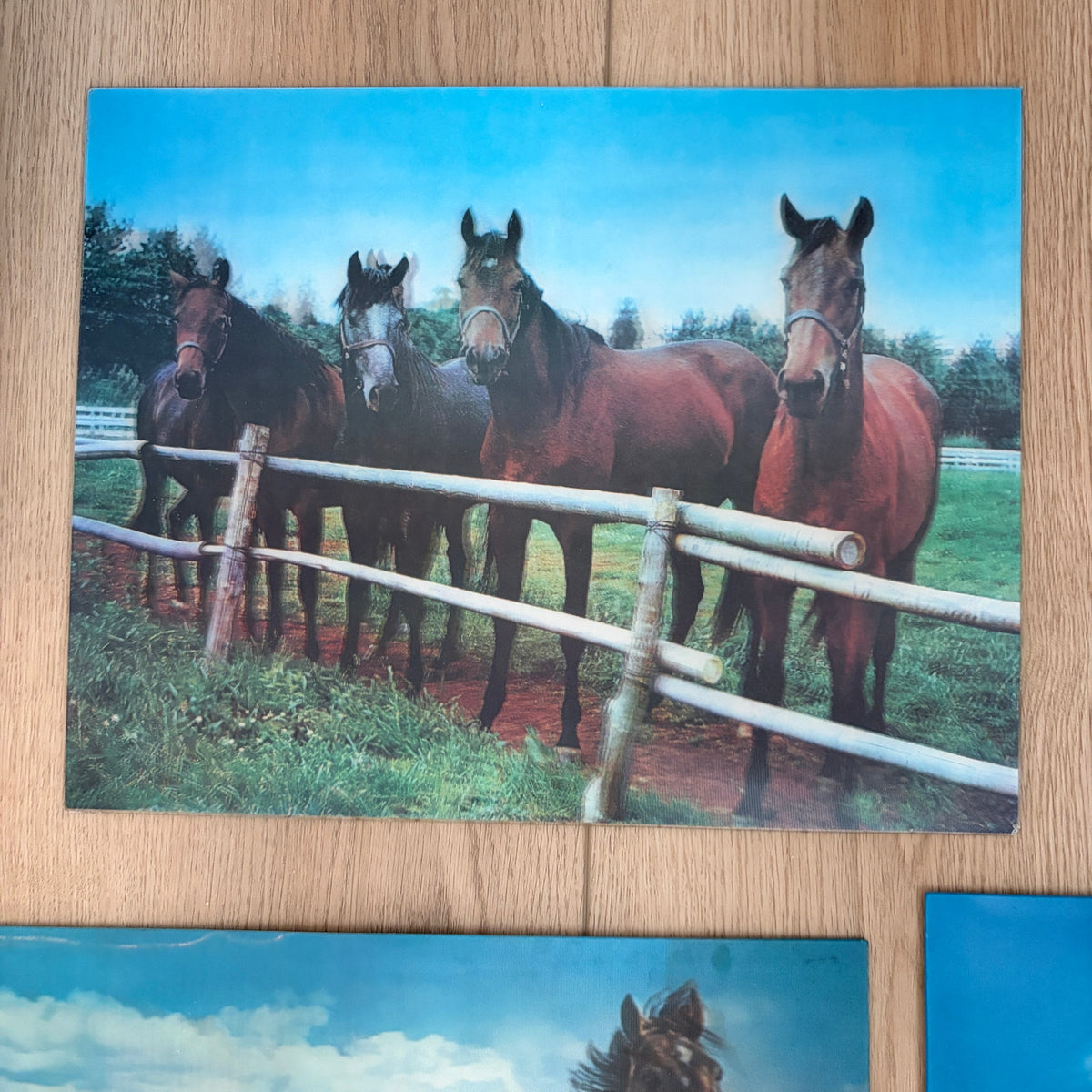 LOT 3 Vintage Lenticular Horse Pictures 13.25" x 10.5"