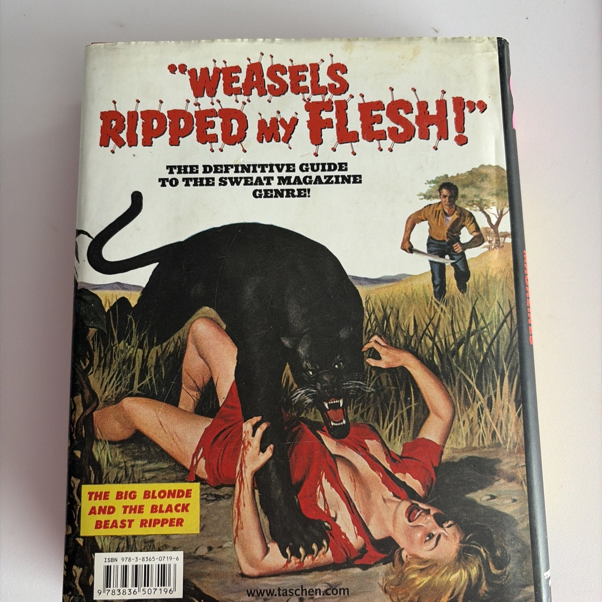 Men’s Adventure Magazines Vintage Pulp Cover Art Exploitation History Book