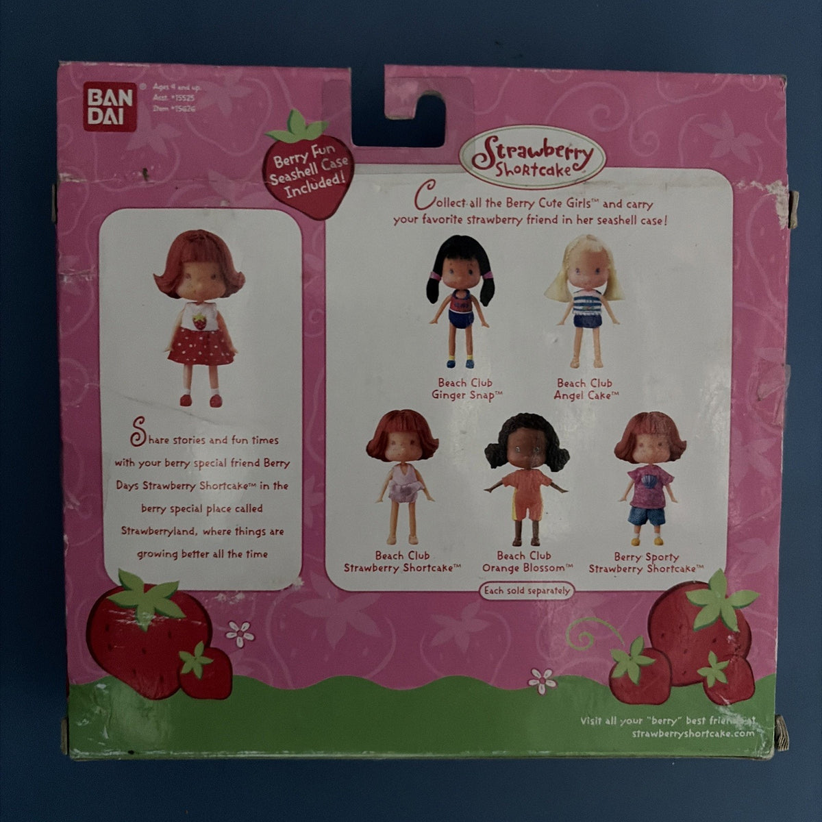 BERRY CUTE GIRLS STRAWBERRY SHORTCAKE BERRY DAYS WITH SEA SHELL CASE NEW