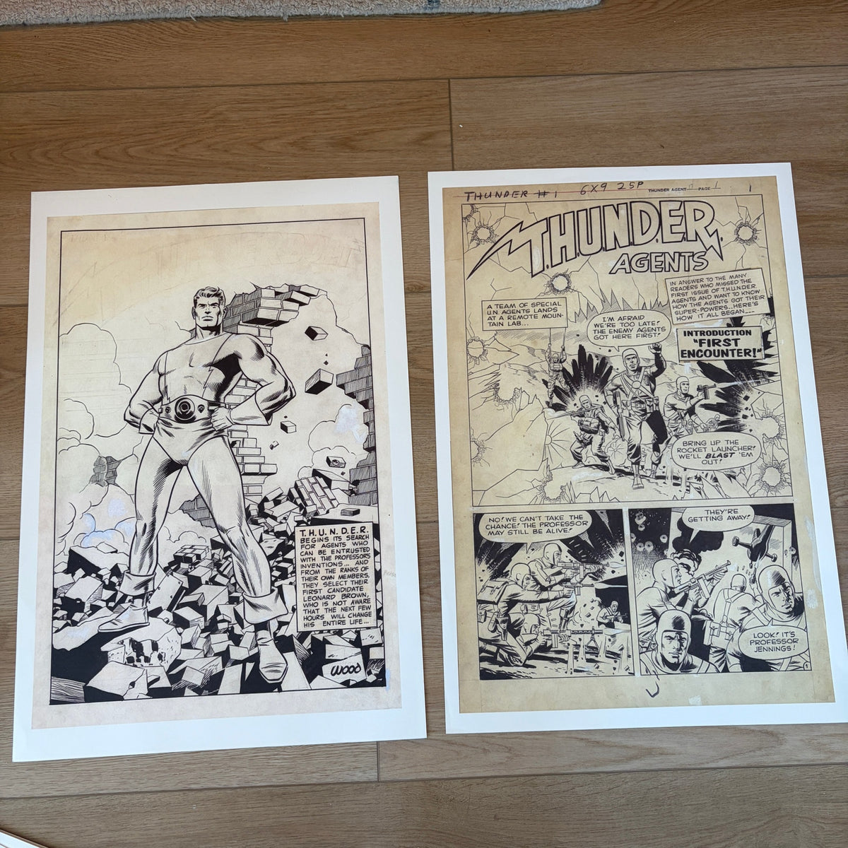 Wally Wood T.H.U.N.D.E.R Agents: Artist's Edition Porfolio 15" x 22"
