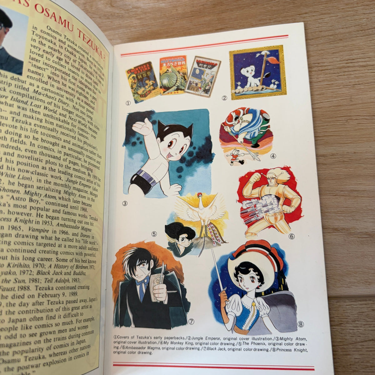 The Art of Osamu Tezuka 1994 Astro Boy Manga Mini Booklet