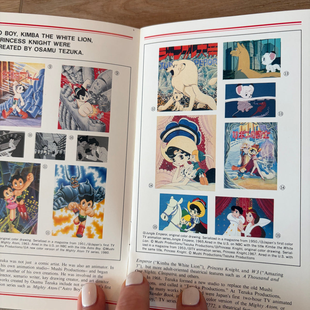 The Art of Osamu Tezuka 1994 Astro Boy Manga Mini Booklet